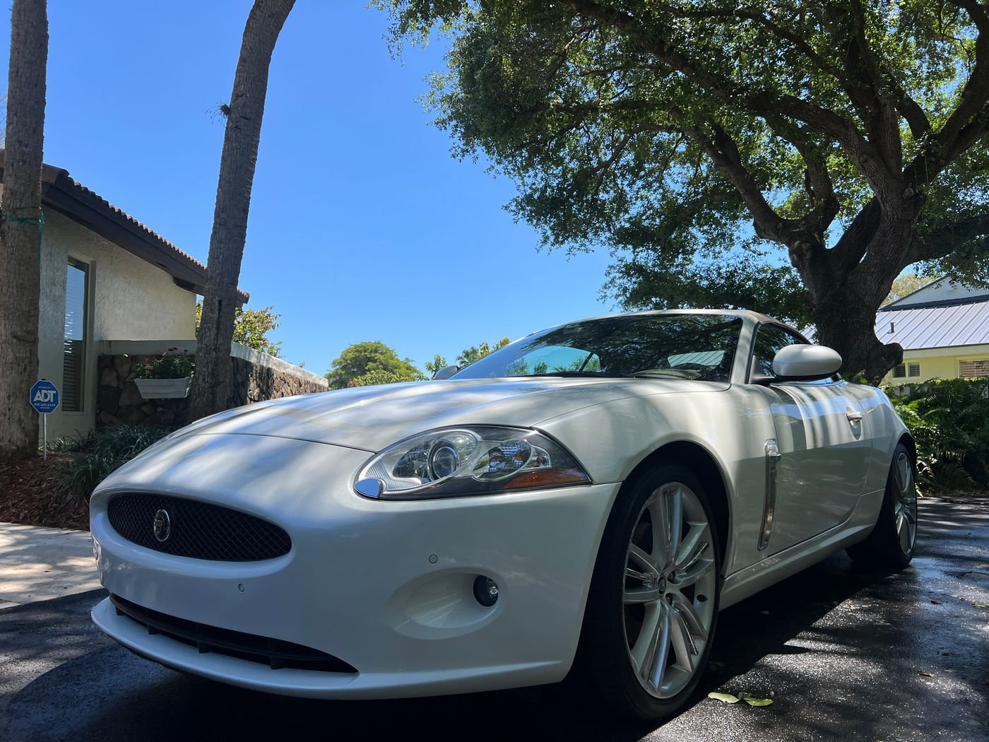 Paint correction and enhancement work